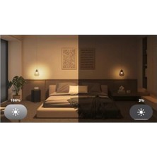 Hue Essential 3'lü E27 Ampul Başlangıç Seti 806 Lumen