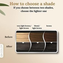 Sea Colorist Set Saç Boyası 7.1 Sisli Kumral Mısty Blonde