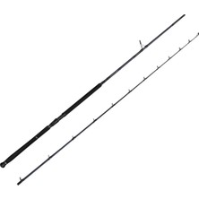 Savage Gear Defiance Sg2 Shore Jig 2.90M 15-60GR 2 Parça Olta Kamışı