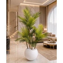 Altun Çiçekcilik Areka 4 Gövdeli Ağaç 150 Cm Lux Metal Saksı Dahıldır - Renk: Yeşil