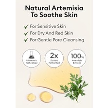 Hassas Ciltler Için Yatıştırıcı Temizleme Köpüğü 150 Mililitre Time Revolution Artemisia Pack Foam Cleanser