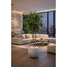 Altun Çiçekcilik Benjamin 150 cm Lux Metal Saksı Dahildir