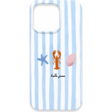 Qaap Iphone 16 Pro Max Desenli Slikon Kılıf