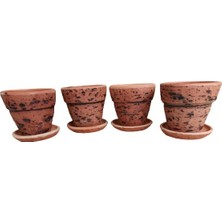 Armen Botanik 4 Adet Antik Görünümlü Üçgen Toprak Saksı 17*15 cm