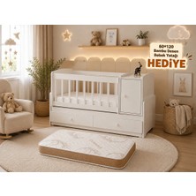 Uzayan Beşik Anne Yanı Şifonyerli Çekmeceli Beşik 60X120- 60*160 Yatak Hediyeli