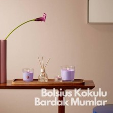 Mabelme Store Bolsius Nar Kokulu Bardakta Mum - Vegan & Doğal & Saf Koku Özlü -Palmiye Yağı Içermez - 25 Saat Yanma Süresi - Kırmızı Renkte - 80MM/73MM