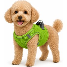 Pet Pretty  Göğüs Tasması File Fosforlu Yeşil L