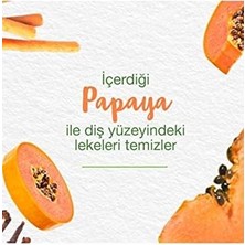 Himalaya Leke Karşıtı Bitkisel Diş Macunu, Florürsüz, Parabensiz, Vejeteryan, Leke Çıkartıcı, Bitkisel Enzim Teknolojisi, 75 ml
