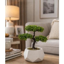Lineva Geometrik Beton Saksıda Yapay Bonsai Ağacı Dekoratif Masa Üstü Bitki