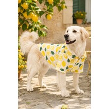Tail Story Köpek Kıyafeti, Küçük ve Orta Irklar Için Limon Desenli Premium Kumaş Kedi/Köpek Gömleği