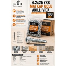 BRATİ HAND TOOLS 4.2X25 Ysb Matkap Uçlu Akıllı Vida Yıldız Silindir Başlı 100 Adet