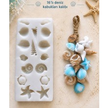 Deniz Kabukları Kalıbı 16 'lı Büyük Boy Medita Craft