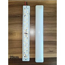 50'li Paket, 20CM 12V Oval Taban, Tente ve Pergola (6500K Beyaz Işık)
