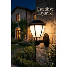 Kupa Serisi Bahçe Duvar Apliği 37 cm - Siyah E27 Duylu Zita Dış Mekan Lambası - IP54 Su Geçirmez, Uv Korumalı Modern Tasarım (Ampul Hariç)