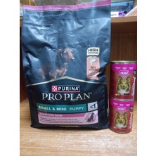 Purina Hassas Deriye Sahip Küçük ve Mini Irk Yavru Köpek Mama Somonlu 3 Kg+2 ADET 400 GR BİFTEKLİ KÖPEK KONSERVE