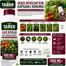 Taber Sebze Bitki Bakım Ürünü 500 ml Konsantre | Sebzeler Için Yapraktan Uygulama