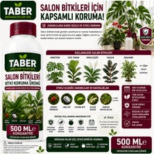 Taber Salon Bitkileri Bitki Bakım Ürünü 500 ml Konsantre | Iç Mekân Bitkileri Için Yapraktan Uygulama