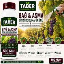 Taber Bağ & Asma Bitki Bakım Ürünü 500 ml Konsantre | Bağ ve Asmalar Için Yapraktan Uygulama