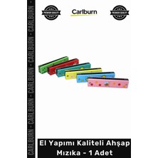 Carlburn #mızıka Akustik Profesyonel Doğal Malzeme Hediyelik Müzik Aleti El Yapımı Kaliteli Ahşap Mızıka