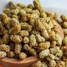 Darende Kayısı Dünyası Doğal Gün Kurusu Beyaz Dut 5 Kg – Enerji Deposu
