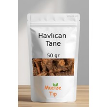Mucize Tıp Havlıcan Tane Dökme 50 gr