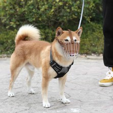 AvantajAl Karamel Pet Metal Deri Köpek Ağızlığı S 30 cm