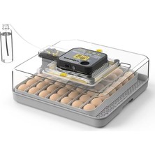 Fantastik Store HK48 Tam Otomatik Dijital Kuluçka Makinesi 48 Yumurta Kapasiteli | Akıllı Isı ve Nem Kontrollü | Tavuk, Kaz, Hindi ve Kuş Yumurtaları Uyumlu ( Lisinya )