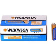 Bezos Mey Ithalat® Gold Wilkinson Ince Pil R03