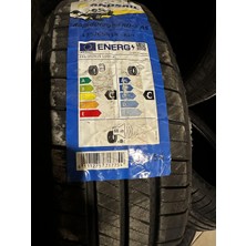 Landsail Rapiddragon Rd-3 As 175/65R14 82H