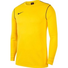 Nike Park 20 Crew Top Erkek Sarı Futbol Uzun Kollu Tişört BV6875-719