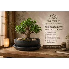 BitkiTÜRK 20 cm Özel Bonsai Beton Saksı ve Altlık Seti | Dekoratif Iç Mekan Saksısı
