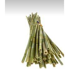 20 Adet 100 cm Bambu Bitki Destek Çubuğu - Doğal - Kalın ve Dayanıklı