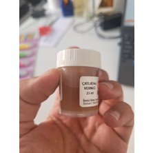 Çatlatma Vernik Seramik Resim Için Çatlatma Efekti Verniği