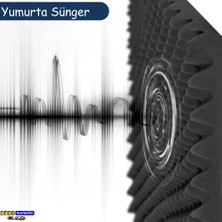 50MM Yanmaz Akustik Yalıtım Yumurta Sünger 50 Dns 100CMX100CM (1m²)