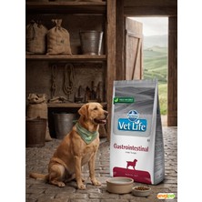 Vtlfe Gastrointestinal Hassas Sindirim 1 kg Açık Köpek Maması