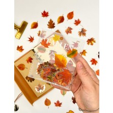 Kağıt Gemi Dükkan Autumn Dream Leaves 40 Adet Dekoratif Turuncu Yaprak Şeffaf Pet Sticker Seti/etiket/çıkartma