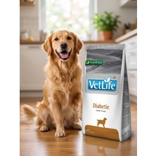 Vtlfe Diabetic Natural Adult 1 kg Açık Köpek Maması