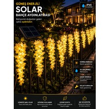 Zigver Bahce Işık Güneş Enerjili Solar Sarı Salkım Wisteria