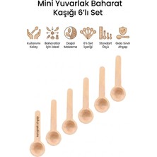 Kamptek Kamp Teknolojisi Kamptek Ahşap Mini Yuvarlak Baharat Kaşığı Set - Doğal El Yapımı Hassas Ölçü Tuz Kahve Kavanoz Kaşığı