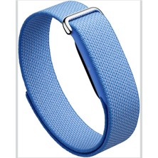 Google  Fitbit Air