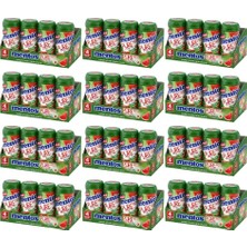 Mentos Pure Fresh Karpuz Aromalı Şekersiz Tatlandırıcılı Draje Sakız 60 gr x 4 Adet x 12 Adet