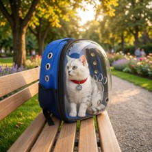 Vigi Store Vg Astronot Kedi Taşıma Çantası | Şeffaf Evcil Hayvan Taşıma Çantası Kedi ve Küçük Irk Köpek