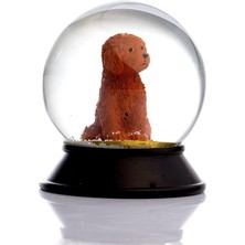 Cam ve Reçine Altın Patiler Köpek Toy Poodle (Tarçın) Kar Küresi Hediye