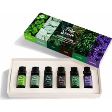 Saf 6'li Uçucu Yağ Seti - Özel Seçki Buhurdanlık ve Difüzör Kokusu (6 x 10 Ml)