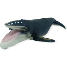 Colezium Deniz Hayvanları Serisi - Kambur Balina 30 cm - 1 Adet