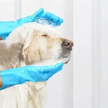 Kedi ve Köpek Yıkama Eldiveni