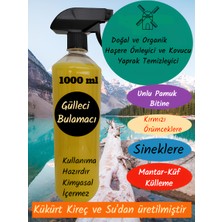 İlkadım Botanik Organik Haşere Kovucu Yaprak Temizleyici  (Unlu Pamuk Biti Sinek ve Yaprak Biti, Kırmızı Örümcek, Mantar, Küf, Külleme) 1000 ml