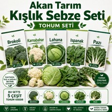 Akan Tarım Yazlık Sebze Tohumu Seti - Domates Biber Patlıcan Kabak Hıyar