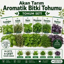Akan Tarım Aromatik Bitki Tohumu Seti - Fesleğen Kekik Nane Maydanoz Dereotu Reyhan