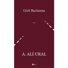 CBT Store Gizli Buzlanma
